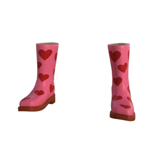 Design Lover Boots