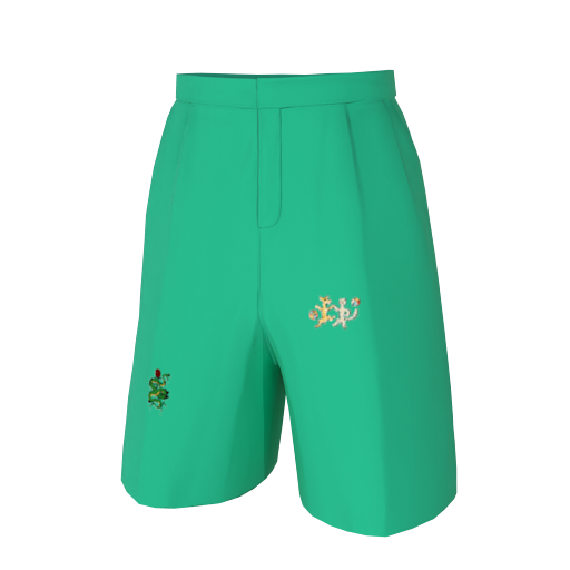 Design Light Green Shorts