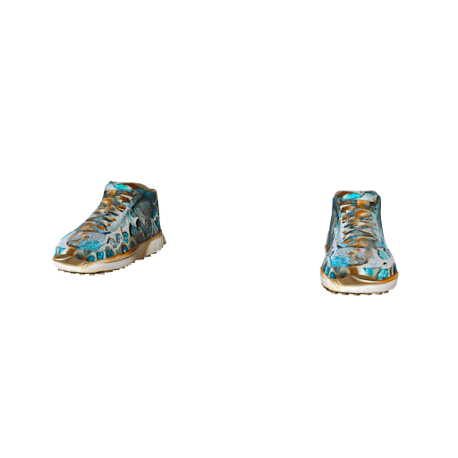 Design dragon shoe