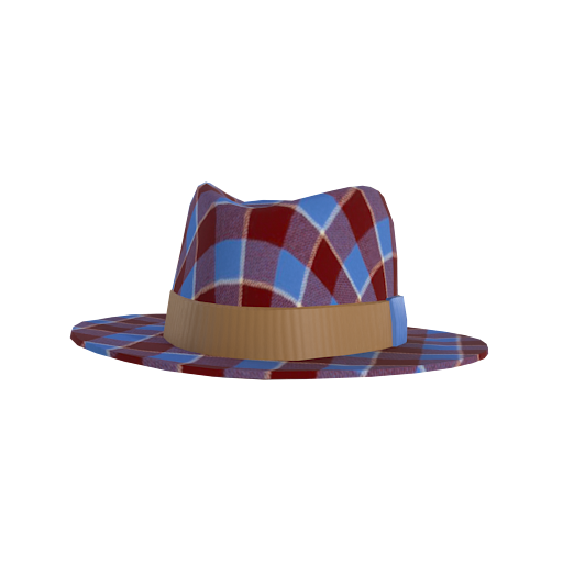 Design Fall wool Hat