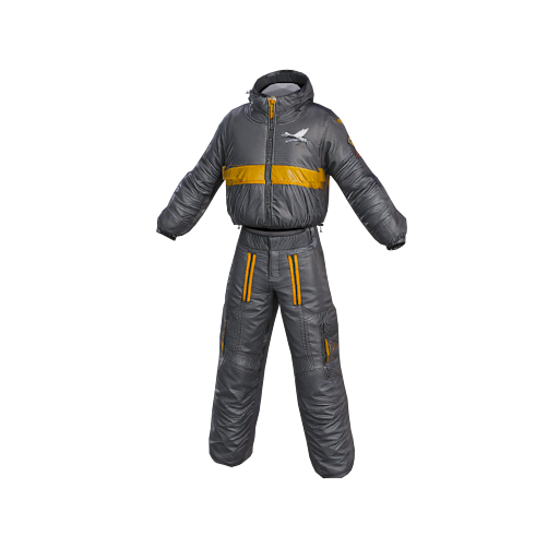 design - birds outfit
 by aadi