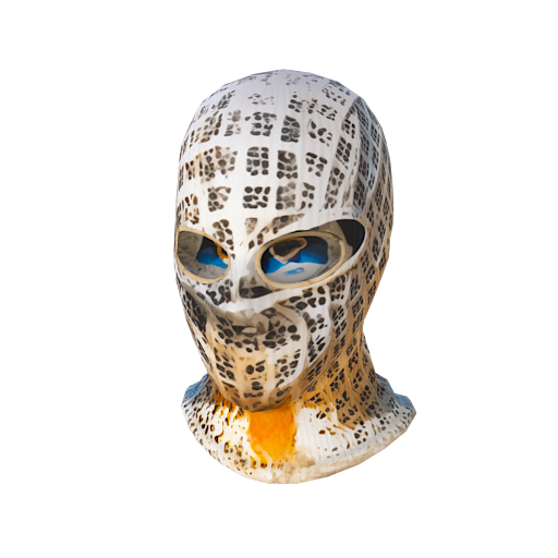 Design ski mask