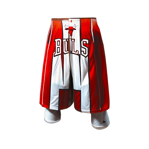 Design a real Chicago bulls