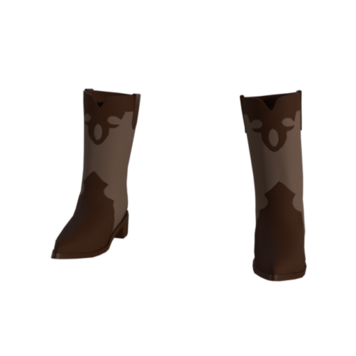 Design Western Boots