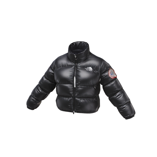 design - North face padded ja by titan