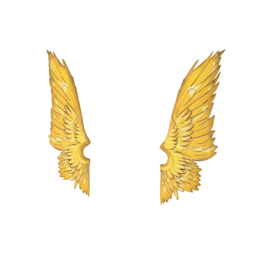Design i want it to have a 