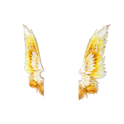 Design Beautiful golden ang