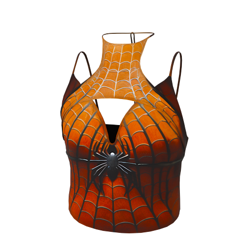 Design Spidergirl top
