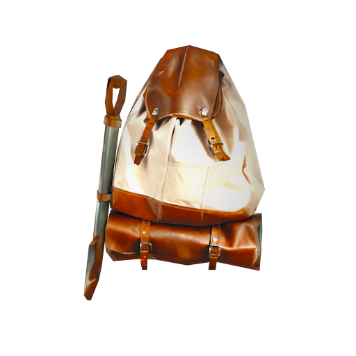 Design Design a bag in brow