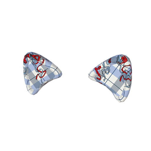 Design Cat ear