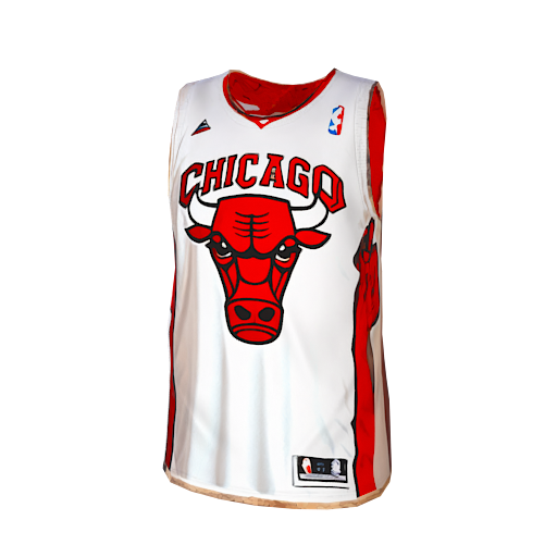 Design Chicago bulls