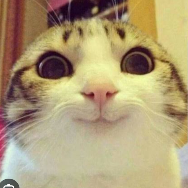 kopikool profile image