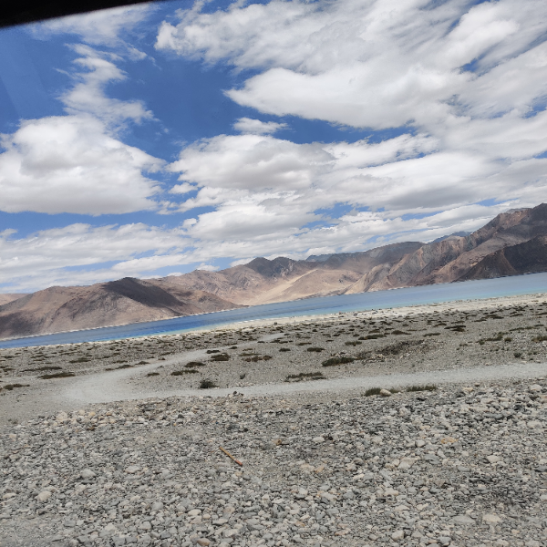 Teabag profile image