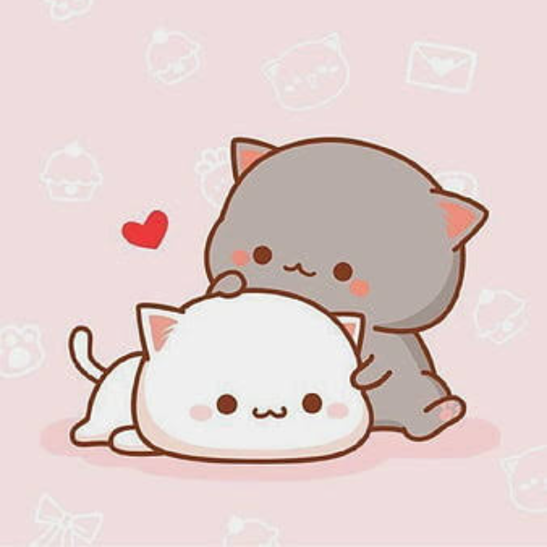 Salsabeel profile image