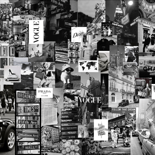 kanishka profile image